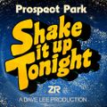 Shake It Up Tonight (House & Nu Disco Mix)