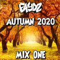 FAYDZ - Autumn 2020 (Mix 1)