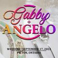 Live Mix | Gabby & Angelo's Wedding | Picton, Ontario