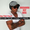 DJ B.Nice - Montreal - Deep, Tribal & Sexy 64 (**UNDERGROUND DEEP TECH HOUSE**)