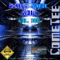 Screw The Dance Now Vol.300. mixed by ComeTee (2020)