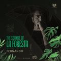 THE SOUNDS OF LA FORESTA EP13 - FERNANDO