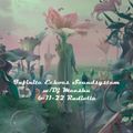 Infinite Echoes Soundsystem 6-11-22 w/Dj Meeshu on Radiolla