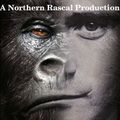 Phil Collins - A Northern Rascal Production (V2)