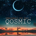 Qosmic - Atmospheric Drum & Bass Part 7