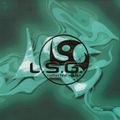 Essential Guide To L.S.G. (1993-2002)