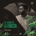 THE SOUNDS OF LA FORESTA EP16 - THIL4N