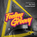 Feeling Groovy Sessions 013 - B2B Mixed By Neil & Irshaad