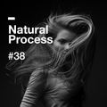 Natural Process #38
