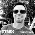 GUEST show for Waves Radio by STEFADO - After Sunset (Chilled House)