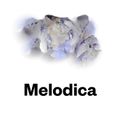 Melodica 10 October 2016 (with Rich Ears at Santos, Ibiza pt2)