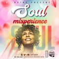 SOUL MIXPERIENCE- DJ QUINS [SOUL TRAIN]