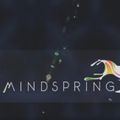 Mindspring 8 year mix - PSYCHEDELIC PROGRESSIVE AMBIENT TRANCE PSYBIENT BASS CHILLOUT