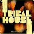 Aerobic Summer - Tribal House - 2002