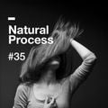 Natural Process #35
