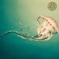 Landhouse & Raddantze - Seasidetrip 83, Dancing Jellyfish (2016-05-30)