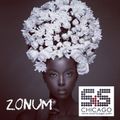 InSession Zonum 5 (S&S Chicago Records) Zonum S&S Session