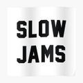Uptempo Slow Jam Mix - 2011  (Slow Jam Kings)