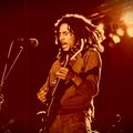Bob Marley and the Wailers - 1976-04-23 Upper Darby PA Pitch Corrected Remastered GEMS Team