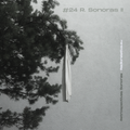Retrospectiva Sonora #25: R. Sonoras II - 01/07/2022