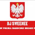 dj sweenee - best of polska hardcore breaks part 1
