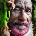 Lee "Scratch" Perry On The Wire – Zwaluw Salutes The Upsetter