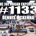 #1133 - Dennis McKenna