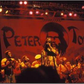 PeterTosh demo no nuclear BETTER