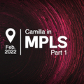 Camilla in MPLS, Part 1 | Live Zouk Set