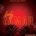 Lady Zamar Mixtape