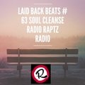 Soul Cleanse Radio #63 by Action Levy