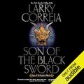 Son of the Black Sword -  Saga of the Forgotten Warrior, Book 1 By: Larry Correia
