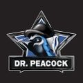 Dr. Peacock | History of Terror & Speedcore | Innercore 2018
