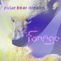 dj forage - polar bear dreams - dub tech house future garage