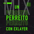 Exlayer Dj - UN PERREITO CON EXLAYER # 01 (Mix 2020)