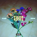 Tiger Tiger Slow Show Nr. 03