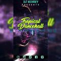 BEST OF TROPICAL DANCEHALL MASH UP MIXX (MOOMBAHTON ANTHEMS)