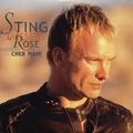 Sting - Desert Rose  (Tommer Mizrahi Remix)
