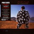 (172) Pink Floyd - Delicate Sound Of Thunder (1988)