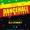 DANCEHALL DOSE 10 DJ LYNKKY