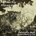 psybient.org podcast episode 07 - February 2016 mixed by Fuluf