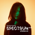 Joris Voorn Presents: Spectrum Radio 123
