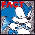 FACT Focus 5: Sonic The Hedgehog