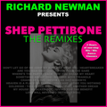 Richard Newman - Richard Newman Presents Shep Pettibone The Remixes
