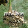 Pure Soil – 10th June 2020