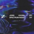 Joris Voorn Presents: Spectrum Radio 317