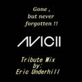 A Tribute to the Late & Great Tim Berg AVICII by Eric Underhill