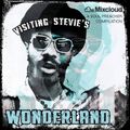 Visiting Stevie’s Wonderland
