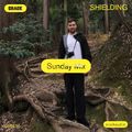 Sunday Mix: Shielding
