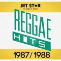 The Best Reggae Hits from 1987 - 1988 | Continuous DJ Mix